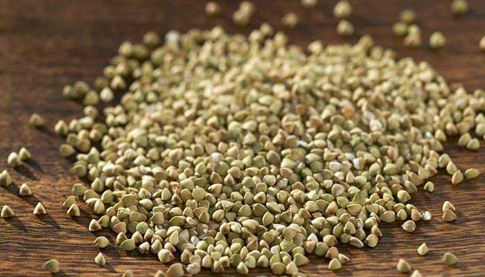 荞麦的功效与作用 荞麦图片